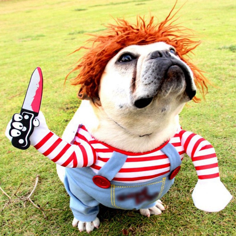Halloween - Deadly Doll Dog Costume